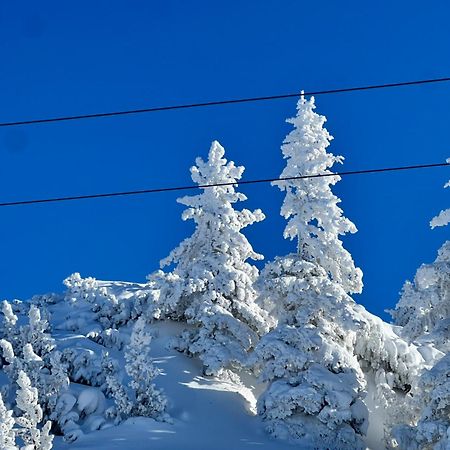"Die Bergerin" | Appartements Schladming Εξωτερικό φωτογραφία