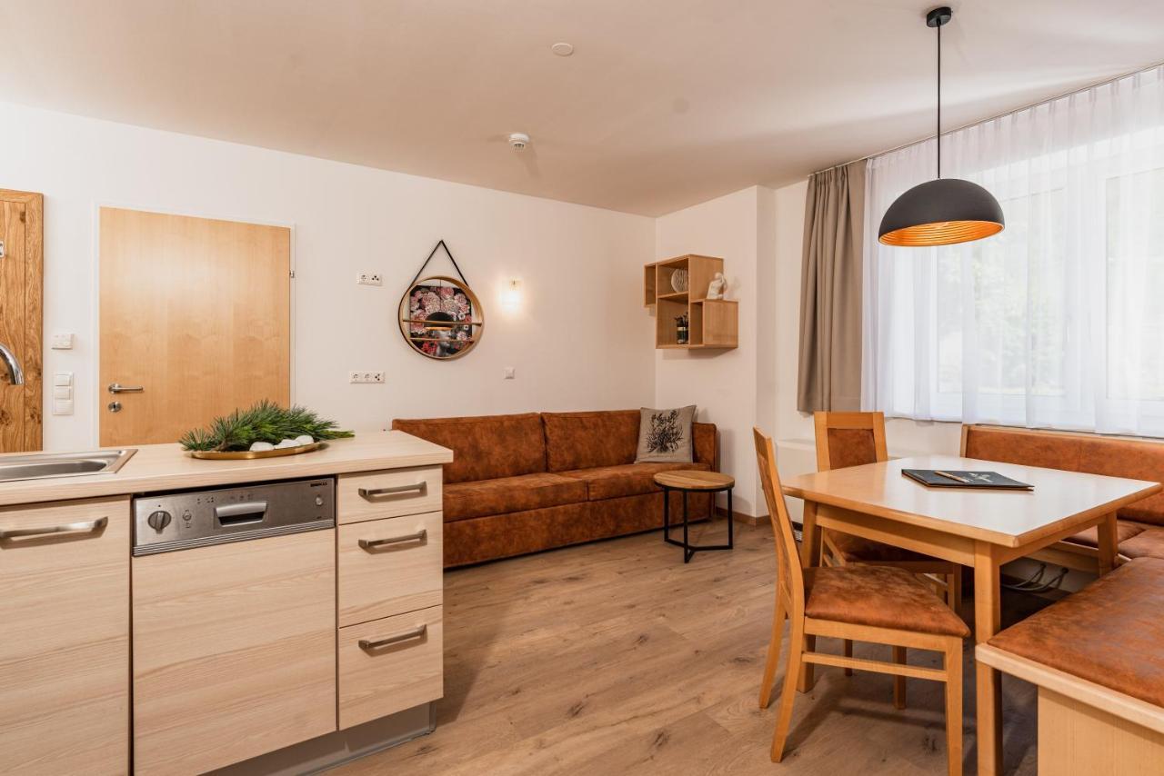"Die Bergerin" | Appartements Schladming Εξωτερικό φωτογραφία